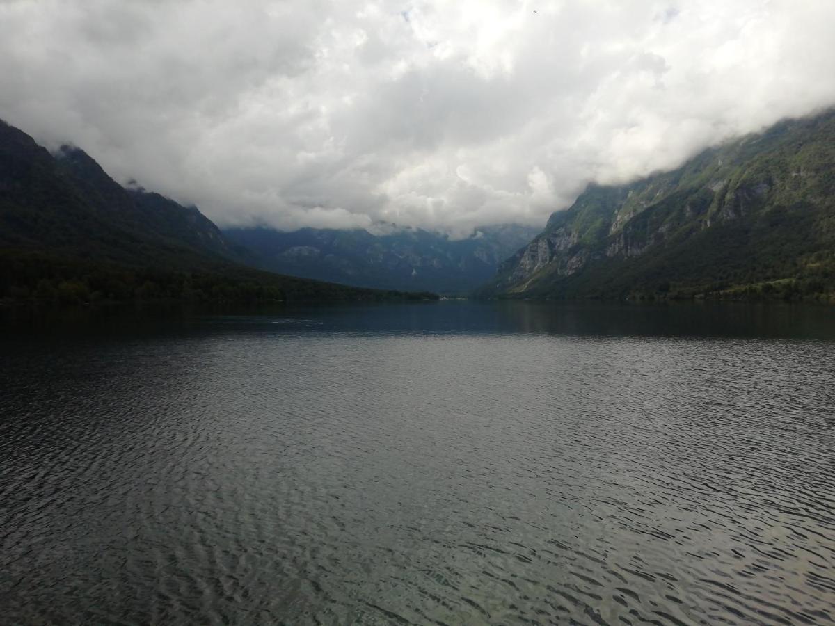 Apartmaji Alpski Cvet - Hisa Gorenc Bohinj Exterior foto